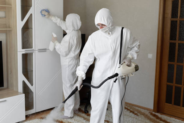 24/7 Emergency Odor Removal experts in Bowie, TX