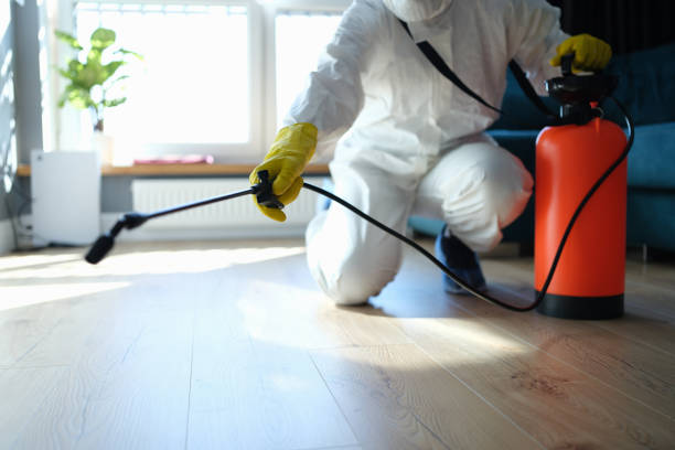 Reliable Odor Removal contractor in Bowie, TX by Trauma Clean Pros